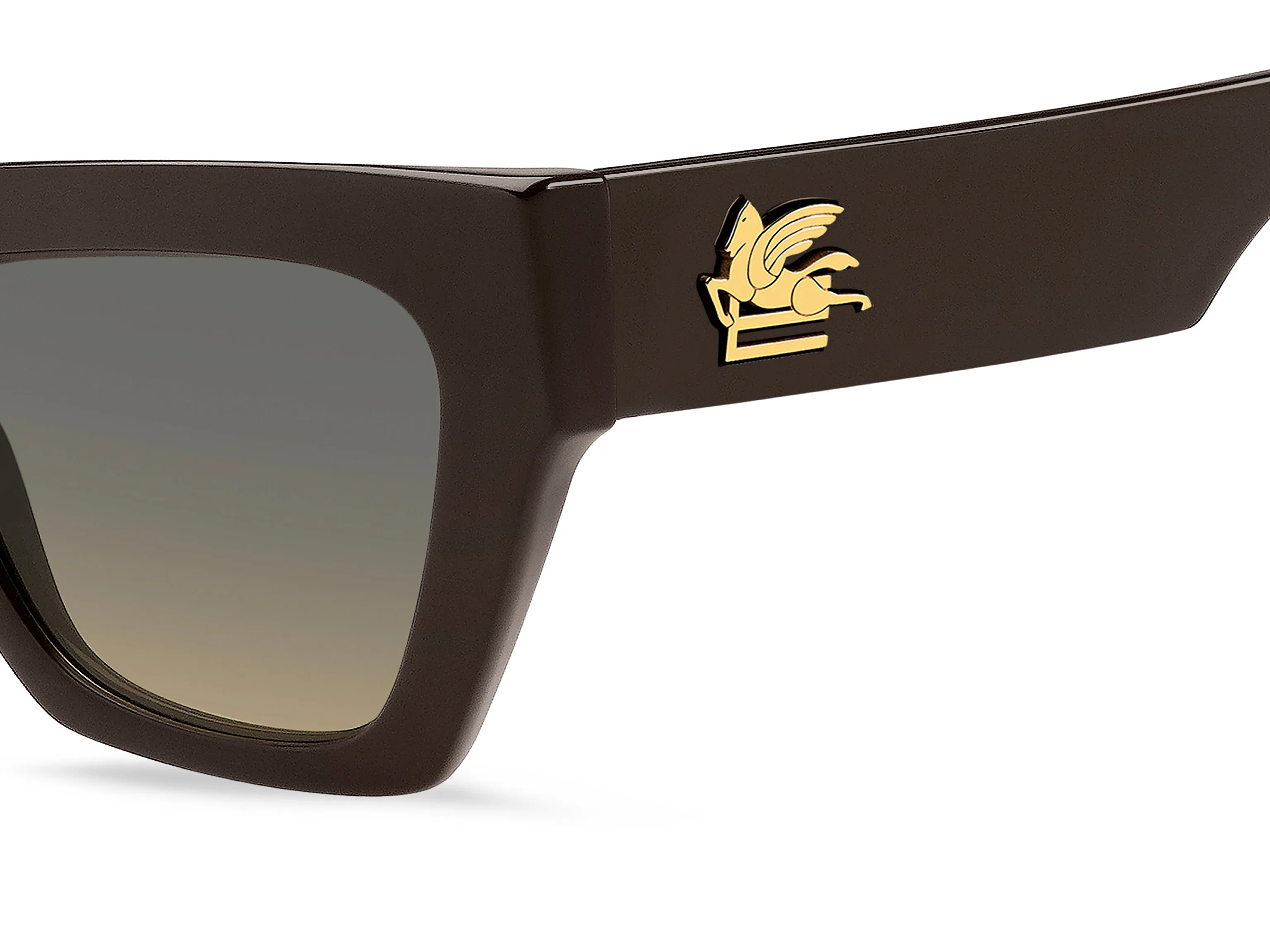   ETRO ETRO 0050/S 09Q/GA
